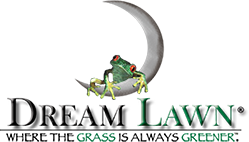 Dream Lawn